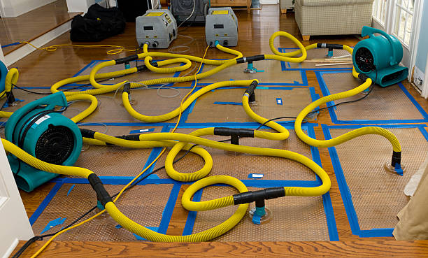 Professional Sewage Cleanup technician working in Dumas, TX